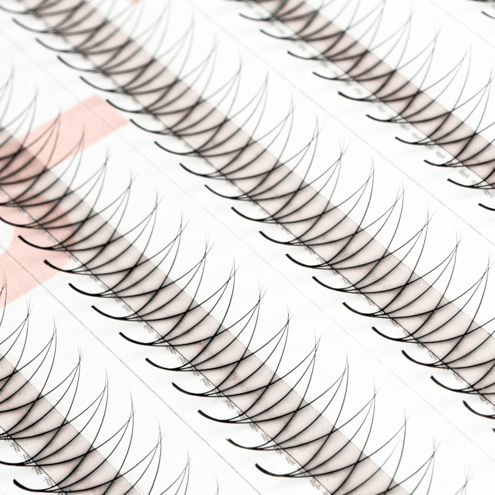 3D Promade Fans XXL Eco 600 - Premade Volume Fans Premade Lashes
