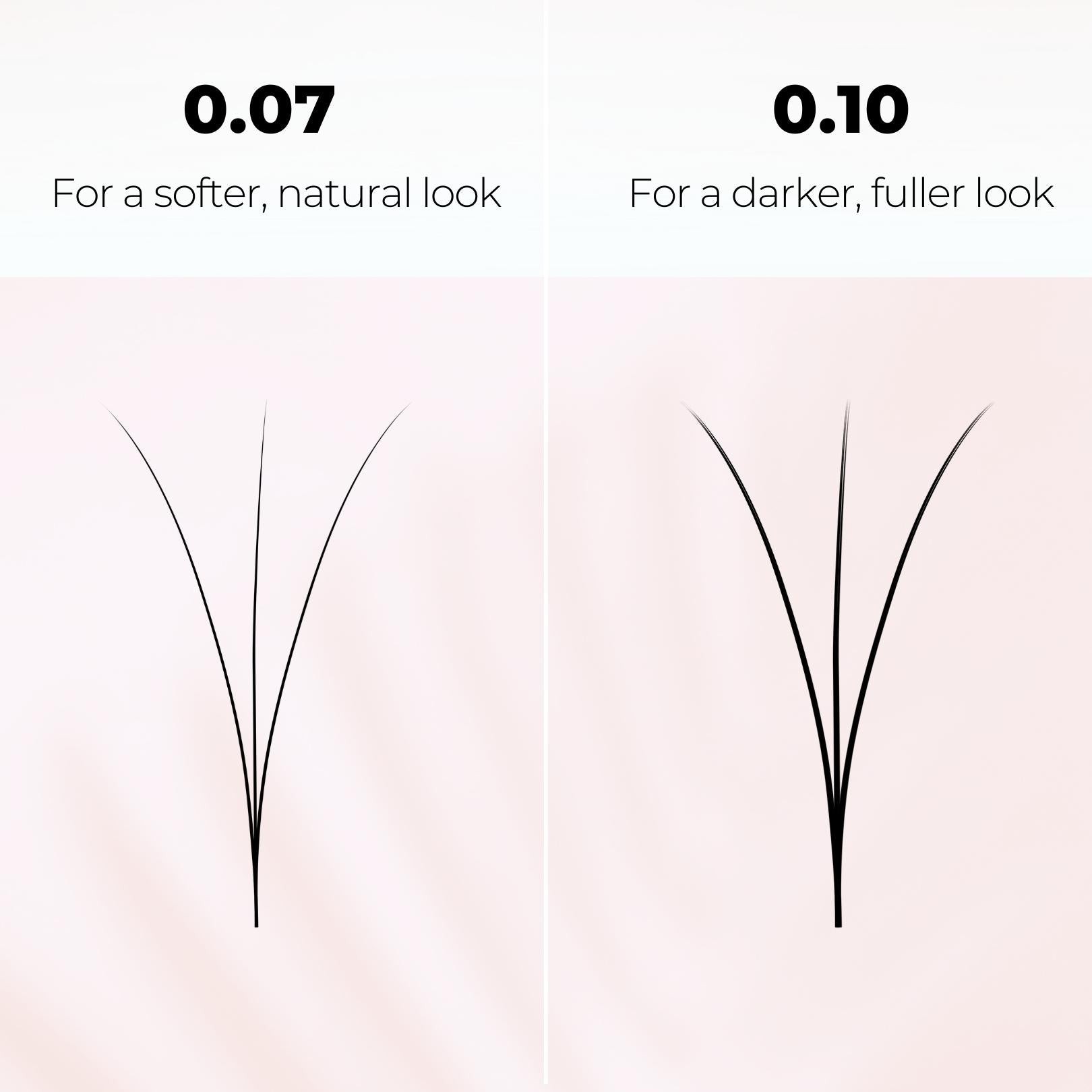 3D Promade Fans XXL Eco 600 - Premade Volume Fans Premade Lashes