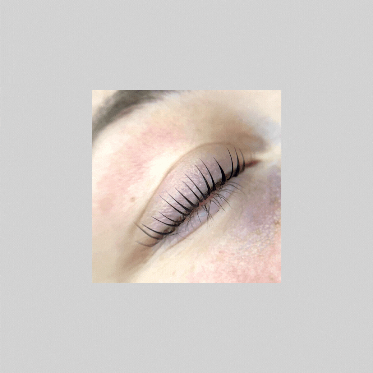 Re;Set Lash Lift & Brow Lamination Set | Alba