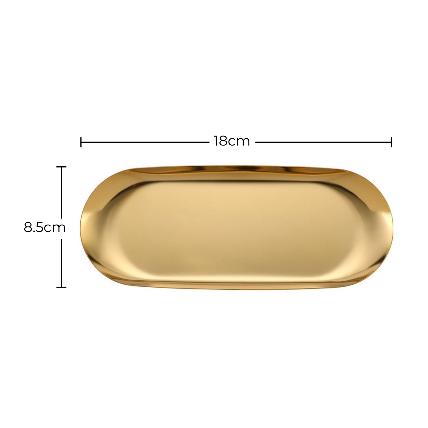 Lash Tweezer Tray Lash Jungle with measurements