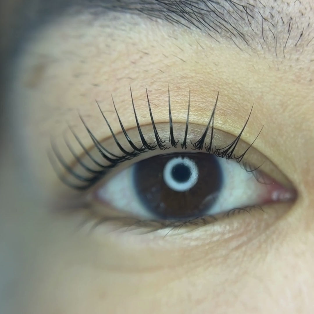 Universal Lash Lifting Shields | Alba