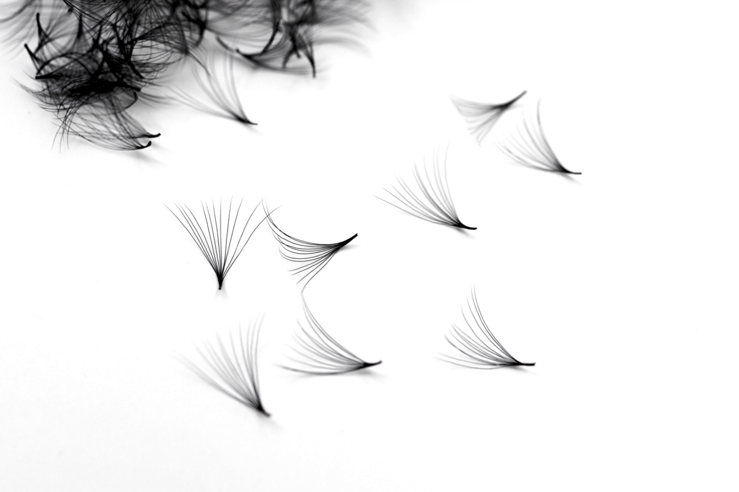 Loose Promade Lash Fans