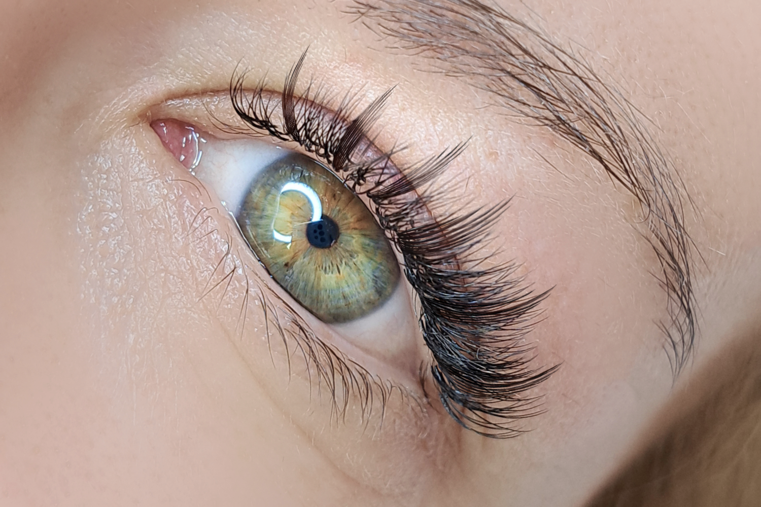 Premade Spikes &amp; Wispy Promade Volume Fans