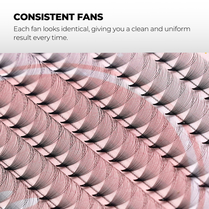 14D Premade Volume Fans Ultra Dark Short Stem