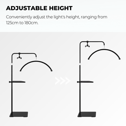 Half Moon LED Lash Light