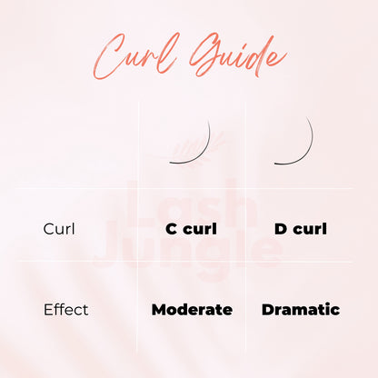 Premium W Lashes 4D 0.05 Curl Guide