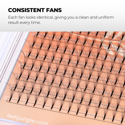 6D Premade Volume Fans Ultra Dark Long Stem