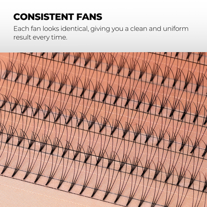 3D Premade Volume Fans Ultra Dark Short Stem