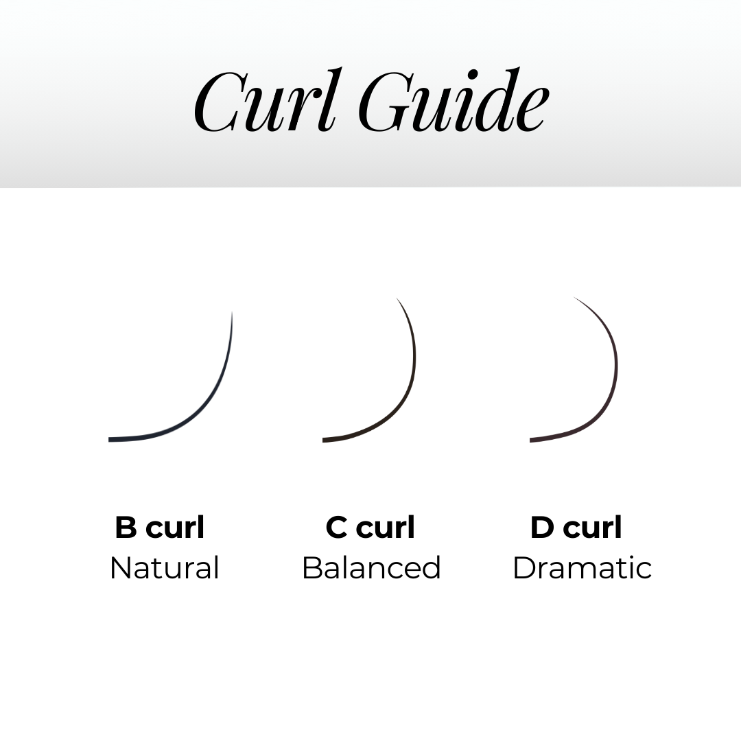 3D Premade Volume Fans Ultra Dark Long Stem