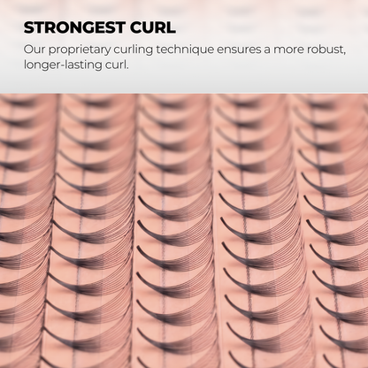 3D Premade Volume Fans Ultra Dark Long Stem