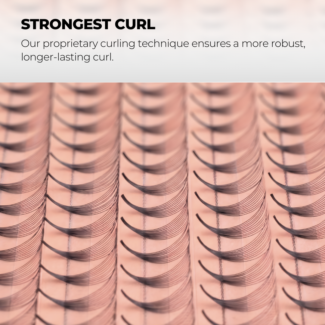 5D Premade Volume Fans Ultra Dark Long Stem