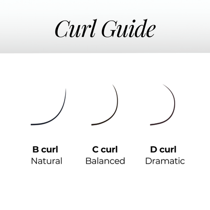 6D Premade Volume Fans Ultra Dark Long Stem