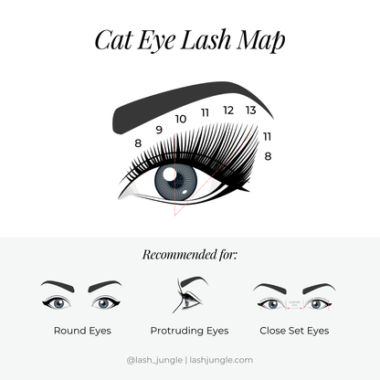 Kitten Lashes