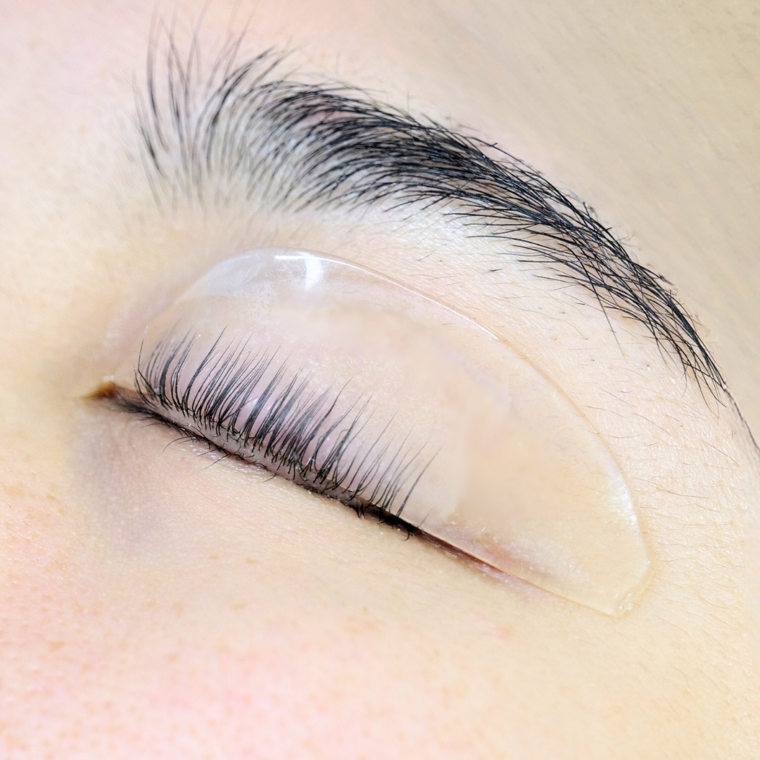 Jelly Flat Korean Lash Lift Shield Alba Lash Jungle jelly-flat-korean-lash-lift-shield-alba-lash-jungle