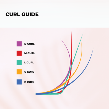 4D Promade Fans - Instant Setup 1000 Fans