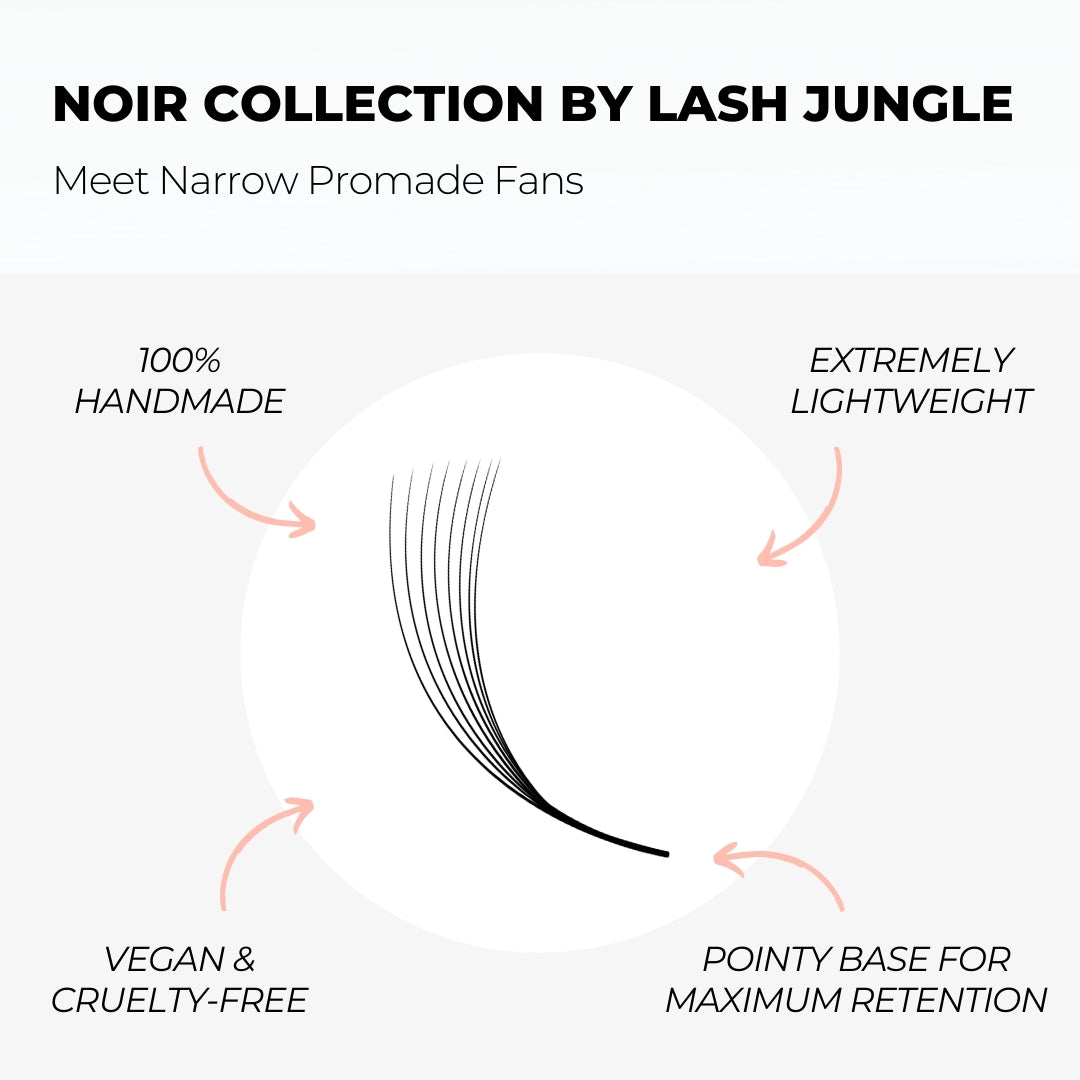 6D Narrow Promade Fans (900 Fans) - NOIR Collection