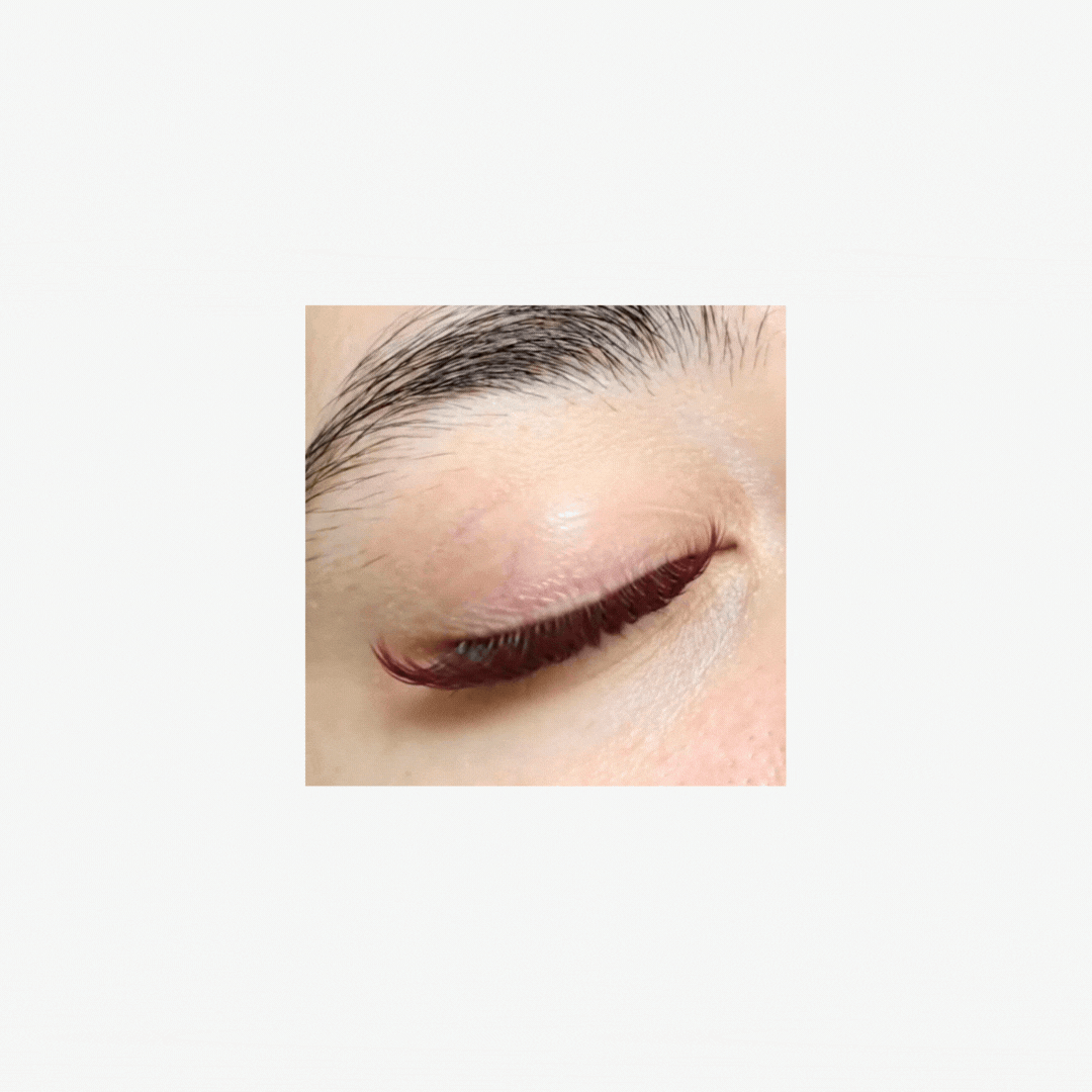 Velvet Wine Silk Volume Lashes