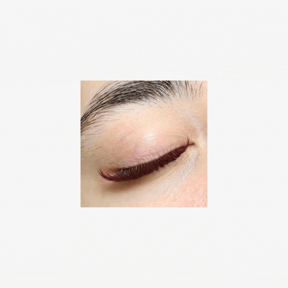 Velvet Wine Silk Volume Lashes