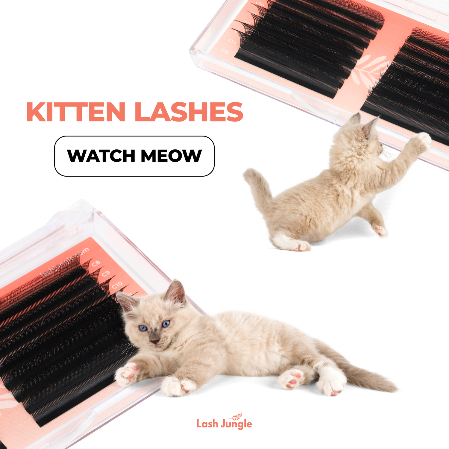Kitten Lashes